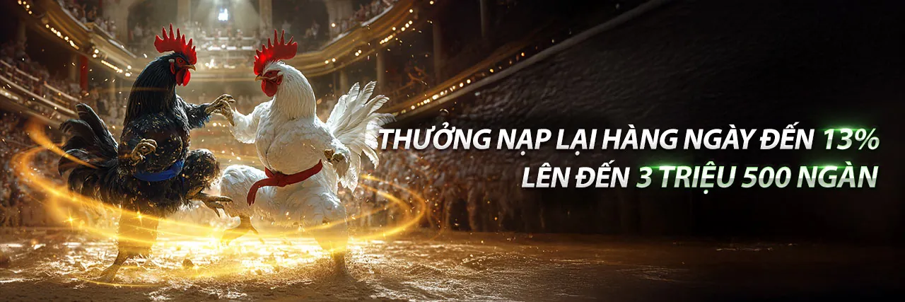 Đá Gà Thomo Ngày 20/2/2023 - Sảnh Trực Tiếp